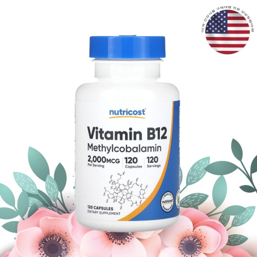 뉴트리코스트 비타민B12 2000mcg 120캡슐