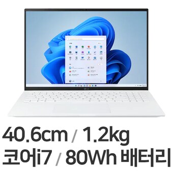 LG전자 2022 그램16(12세대) 16Z90Q-GA76K