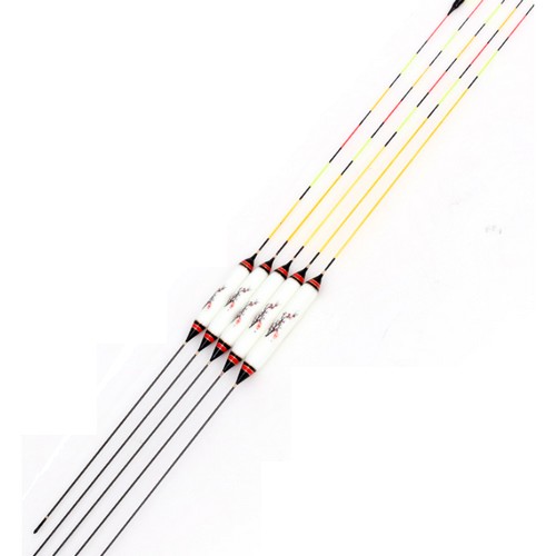 싸파 도도 몽땅 나노 매화_이미지