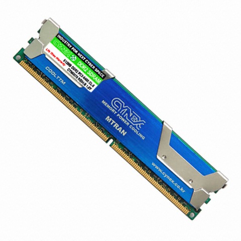 CYNEX DDR2-800 엠트란 중고 (2GB)