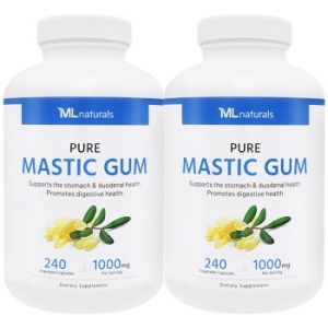 내추럴스 매스틱검 1000mg 240정 2병