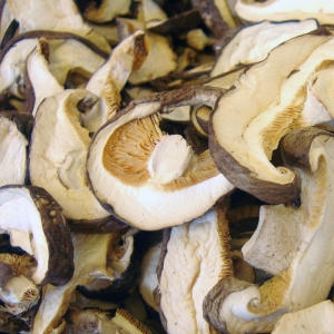 쪽빛누리 버섯 표고버섯 건표고버섯 자른 표고 200g 중국산_이미지