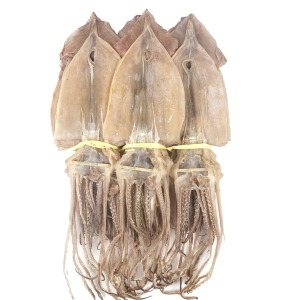 동해건해산물협동조합 더줌 햇 마른오징어 울른도 근해 어획 20미 1.7kg (1개)_이미지
