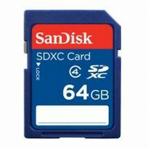 Sandisk SD 2010 (64GB)