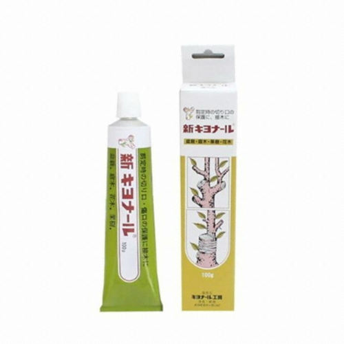 ㅤ기요날 100g (1개)_이미지
