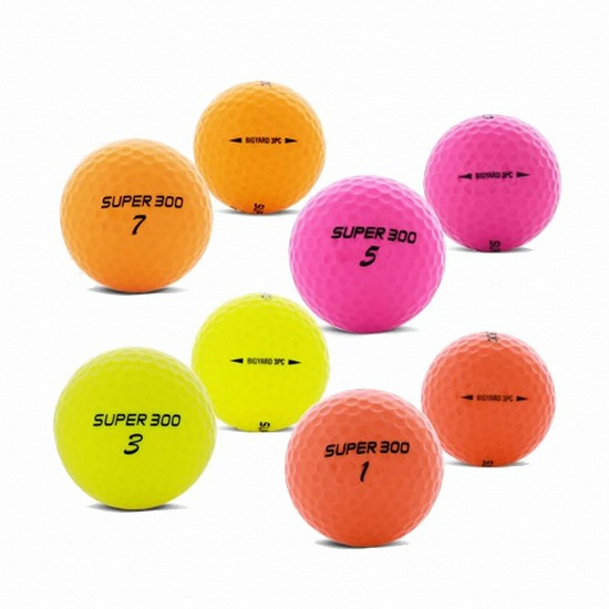 ��ߵ� 2017 ����300