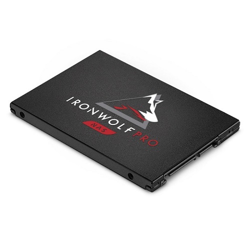 Seagate IronWolf Pro 125 SSD