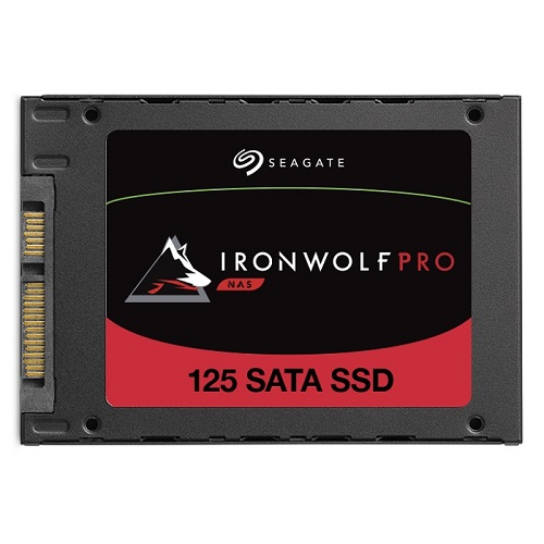 Seagate IronWolf Pro 125 SSD