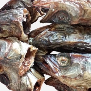 [�Ҹ�] ���� �Ͼ�Ӹ�  ������ ������ �Ͼ�밡�� �Ͼ�