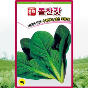 돌산갓 씨앗 돌산 갓 씨 종자 30g