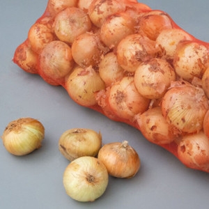 [불명] 세상모든농부 햇양파 상 10kg_이미지