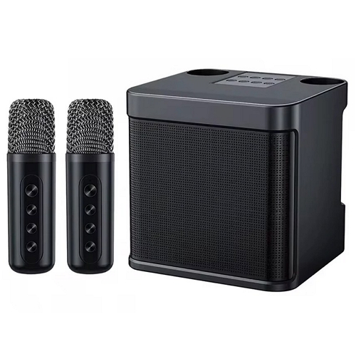 VIKEFON 무선 듀얼 마이크 블루투스 스피커