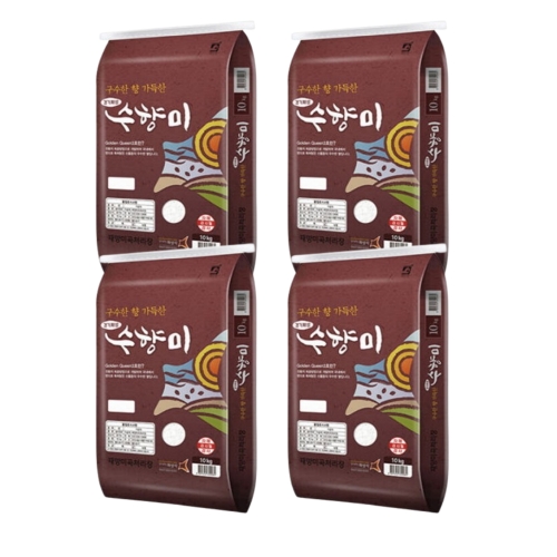 �޻�帮 2025 �ݽ� ����� ���� 10kg