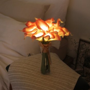 비아케이스튜디오 피치 카라 부케 LED 무드등