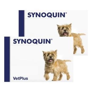 ���÷��� ���̳��� �����긮�� ĸ���� 30p