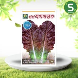 �ٳ� �̽� ���� ��ġ�� ���� ���� 3g