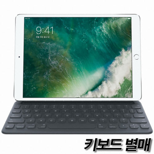 APPLE iPad Pro 12.9 2세대 (256GB)_이미지