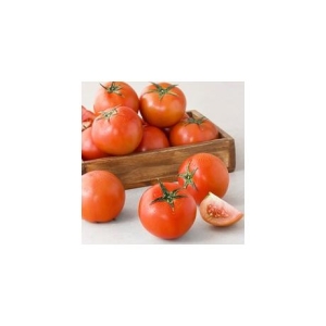 팜팜 완숙 토마토 5kg (1개)_이미지