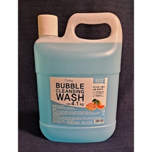 ������ ���� Ŭ��¡ ���� �ڸ��� 4.1L