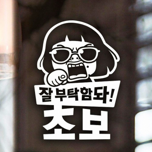 제제데코 잘부탁함돠 초보 초보운전 스티커 [반사]