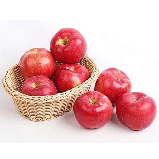 ���� ��� ���� ��� ������ �Ұ� 14��(��)���� 2.5kg