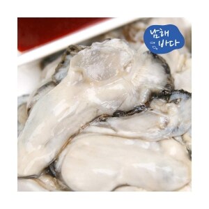 남해바다 국내산 <b>생굴</b> <b>1kg</b>