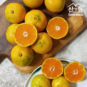  산앤들 극조생 감귤 중대과 5kg [1개]