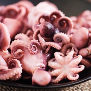 GFresh 손질 주꾸미 16-20미 + 진한낙지양념 70g 손질주꾸미