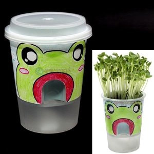 거꾸로 물주기 화분만