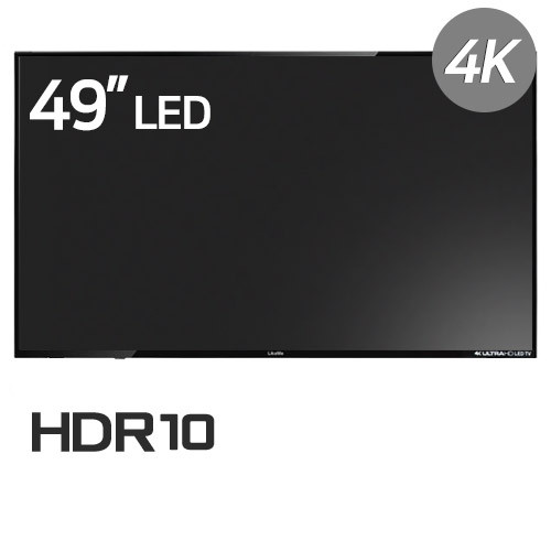라익미 울트라 D4901L 4K HDR IPS (벽걸이)