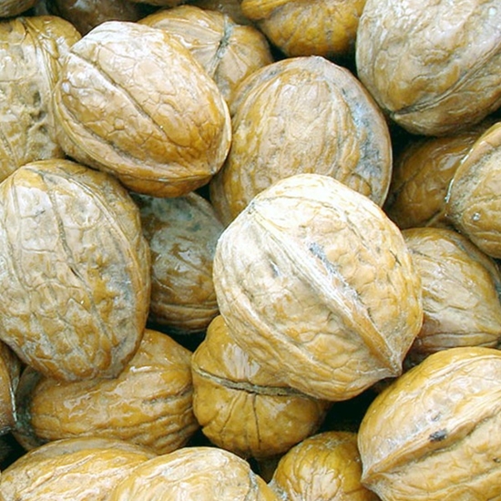 국내산 고소한 호두 1kg (1개)_이미지