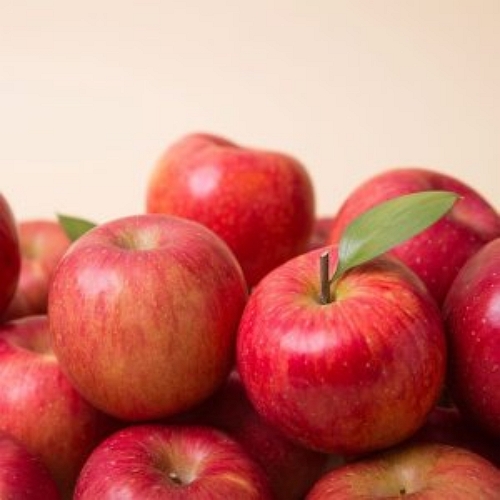 후르츠마켓 착한식탁 홍로 사과 가정용 꼬마소과 10kg (1개)_이미지