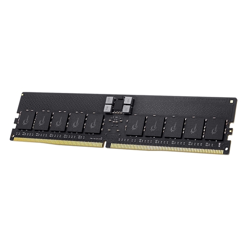 G.SKILL DDR5-6400 CL32 G5 ECC/REG ��Ű��