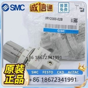 IRV3000 IRV1000 IRV2000 -01 02 03 04 BG 진공 감압 밸브