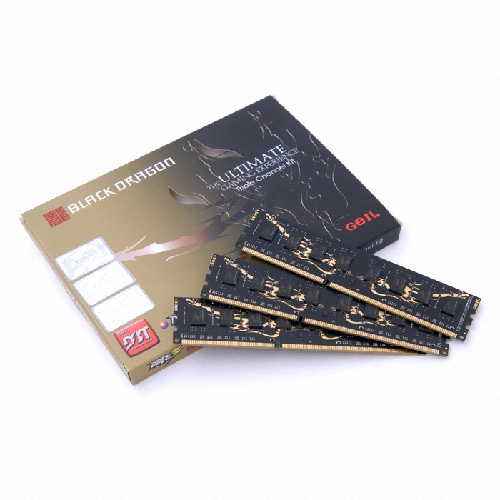 GeIL DDR3-2000 CL9 Black Dragon 패키지 (6GB(2Gx3))