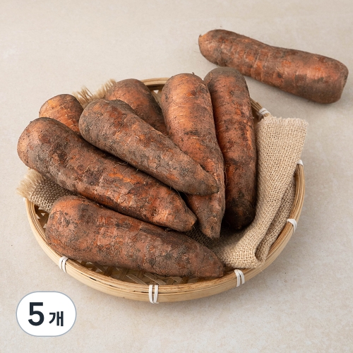 영농조합법인만강 제주 친환경 흙당근 1kg (5개)_이미지