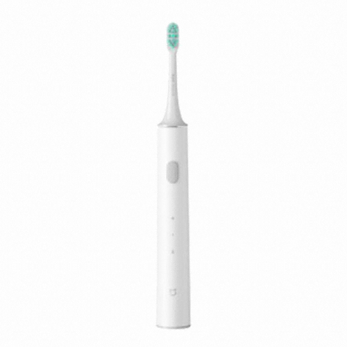 샤오미 미지아 T300 해외구매 (2개)