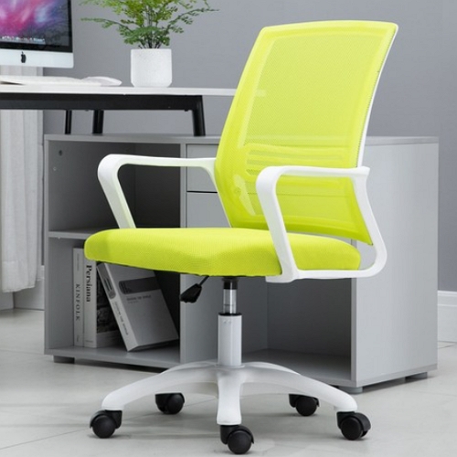 다임체어 편안한 라텍스 등받이 리프트 의자