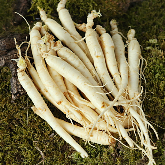 황금농장 세척인삼 소(삼계탕, 갈비탕용) 700g