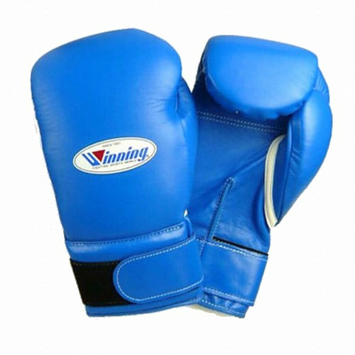 ���� ���̱۷��� MS-300B (�ؿܱ���)