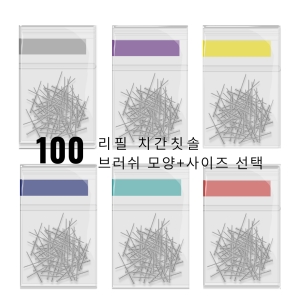 치간칫솔 리필형 브러쉬 단품