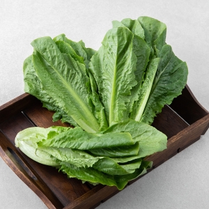 곰곰 포기 로메인 500g 1개