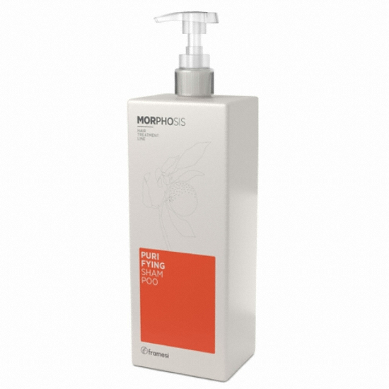 프라메시 모포시스 퓨리파잉 샴푸 1000ml (1개)_이미지