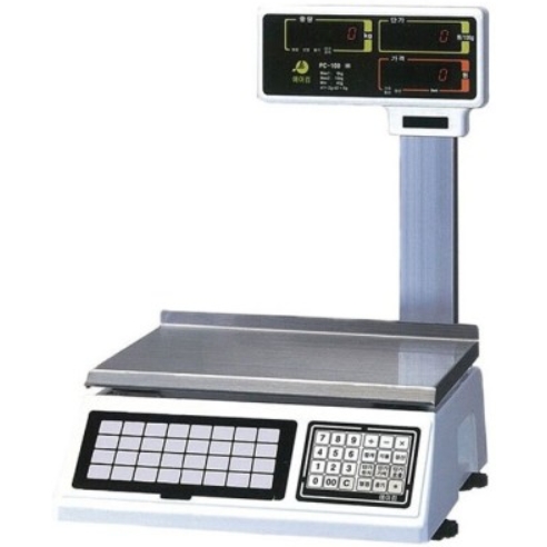 ������ �������� ��Ÿ�� PC-100E