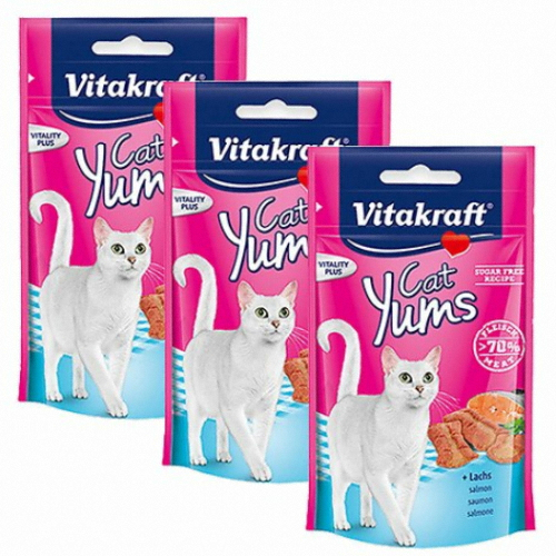 비타크래프트 ㅤ캣얌 연어 40g (3개)_이미지