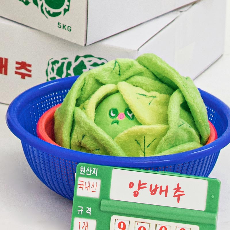 바잇미 양배추 킁킁볼_이미지