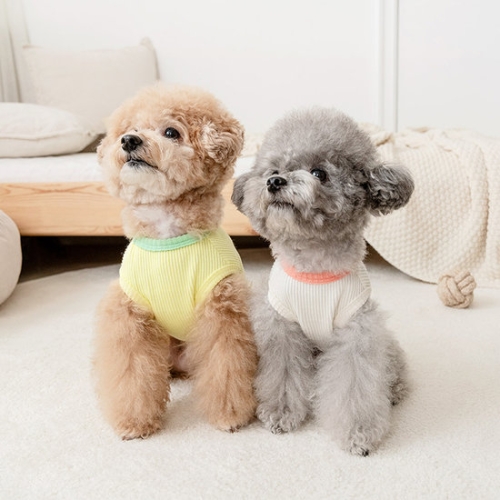 데이지코퍼레이션 울리 쥬시 민소매 티셔츠 옐로우 (S)_이미지