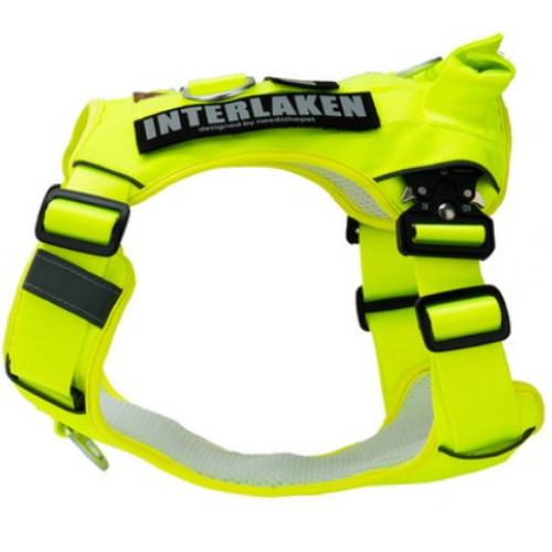 니즈더펫 인터라켄 커스텀 하네스 네온옐로우 (XS~L)