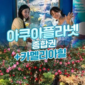  제주 BIG2 아쿠아플라넷 종합권 + 카멜리아힐 [대인1]