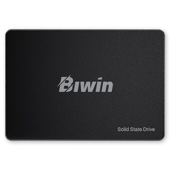 BIWIN M100